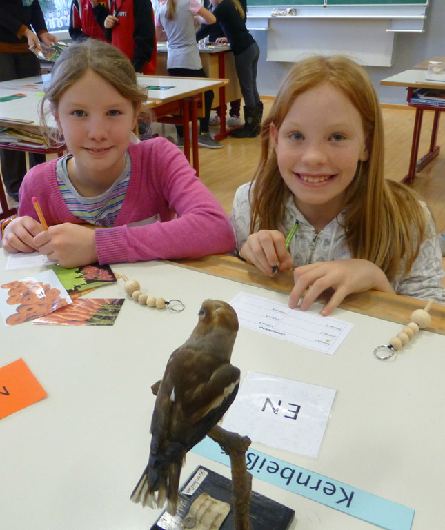 SMS6f_jpg-1357504122