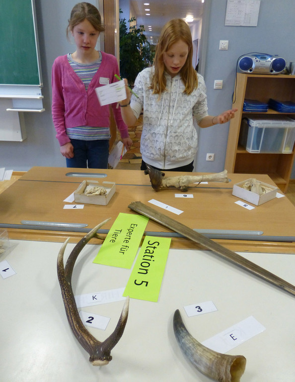 SMS10_jpg-1357504165