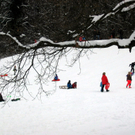 IMG_3137.JPG