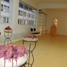 DSCN1995_JPG-1357509738