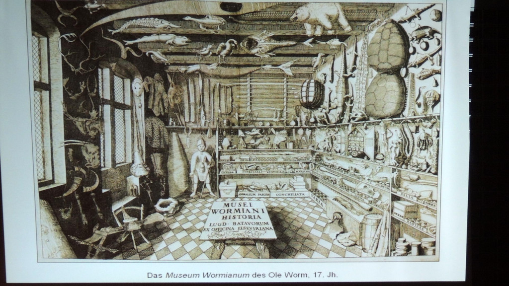 DSCN1655_JPG-1357510309