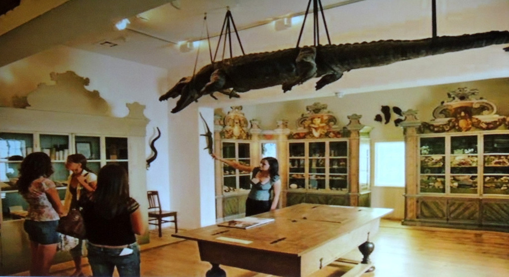 DSCN1658_JPG-1357510316