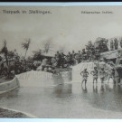 DSCN1661_JPG-1357510323