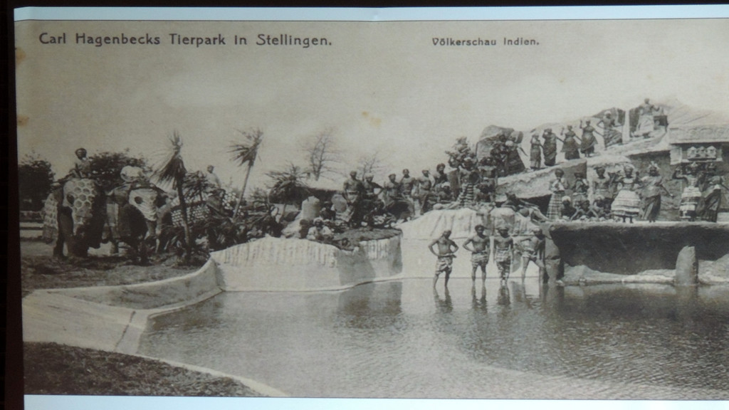 DSCN1661_JPG-1357510323