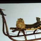 DSCN1667_JPG-1357510332