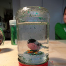 DSC00089_JPG-1357519470