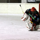 IMG_9483_jpg-1357550639