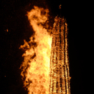 _DSC0372k0001_1.JPG