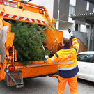 normal_07012013fmt_christbaumabholung_ta_006.JPG