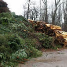normal_07012013fmt_christbaumabholung_ta_012.JPG