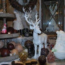 DSC_0016-1.jpg