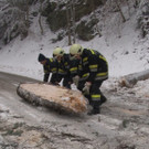 Niederösterreich: Feuerwehr durch starken Schneefall im Dauereinsatz