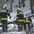 08012013_Schneelasteinsaetze NK _2_.jpg