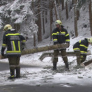 08012013_Schneelasteinsaetze NK _4_.jpg