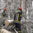 08012013_Schneelasteinsaetze NK _7_.jpg