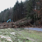 normal_08012013fmt_aufraeumungsarbeiten_L220_mw_014.JPG