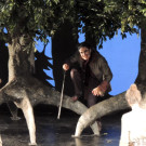 DSCN0737_JPG-1357684947