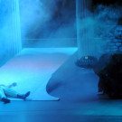 DSCN3452_JPG-1357687320