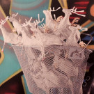 DSCN3434_JPG-1357688531