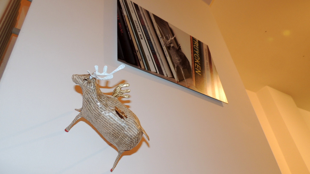 DSCN3418_JPG-1357688495