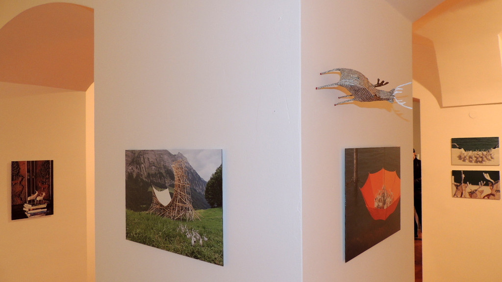 DSCN3425_JPG-1357688511