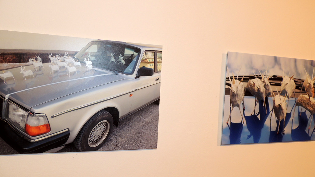 DSCN3426_JPG-1357688515