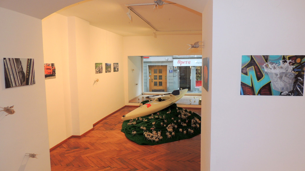 DSCN3436_JPG-1357688534