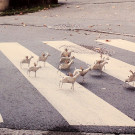 DSCN3428_JPG-1357688519