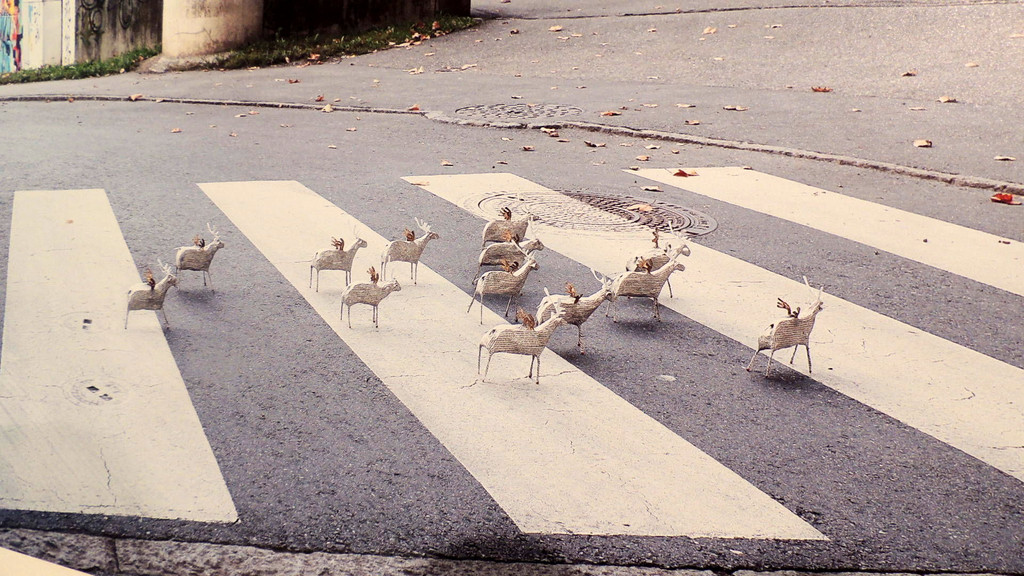 DSCN3428_JPG-1357688519