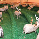 DSCN3424_JPG-1357688507