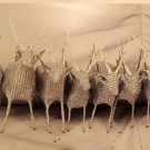 DSCN3429_JPG-1357688523