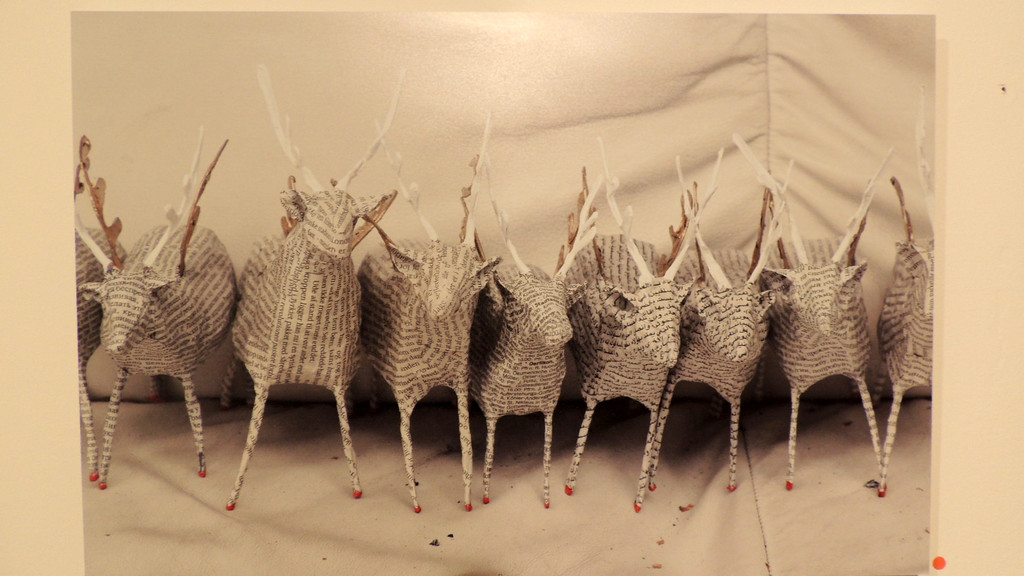 DSCN3429_JPG-1357688523