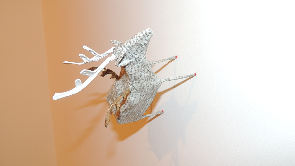 DSCN3417_JPG-1357688491