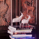 DSCN3433_JPG-1357688527