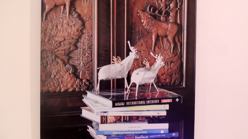 DSCN3433_JPG-1357688527