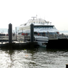 IBD0588-20130109.jpg
