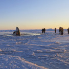 DAB0143-20130110.jpg