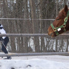 file68amczy1alujyca44kq_jpg-1357826511