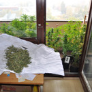 11_1_2013 PI Krems 3.jpg
