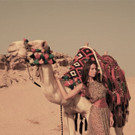 11-01-2013 10-46-26.jpg
