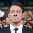 01817747.jpg