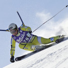 IBD0422-20130112.jpg