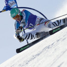 IBD0639-20130112.jpg