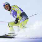 IBD0620-20130112.jpg