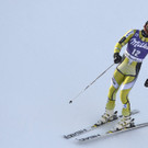 IBD0612-20130112.jpg