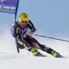 DAB0930-20130112.jpg