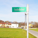 Fuchsb__hel1_JPG-1358008462