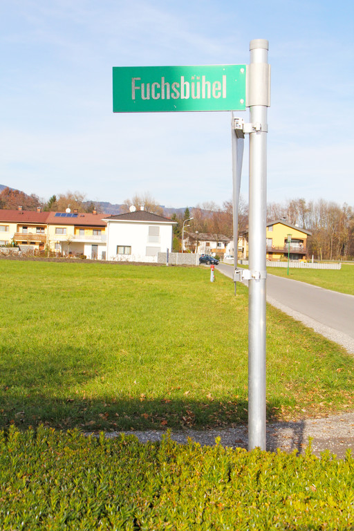 Fuchsb__hel1_JPG-1358008462