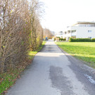 Fuchsb__hel2_JPG-1358008518