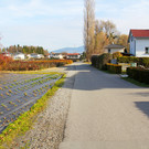 Feldweg2_JPG-1358008679